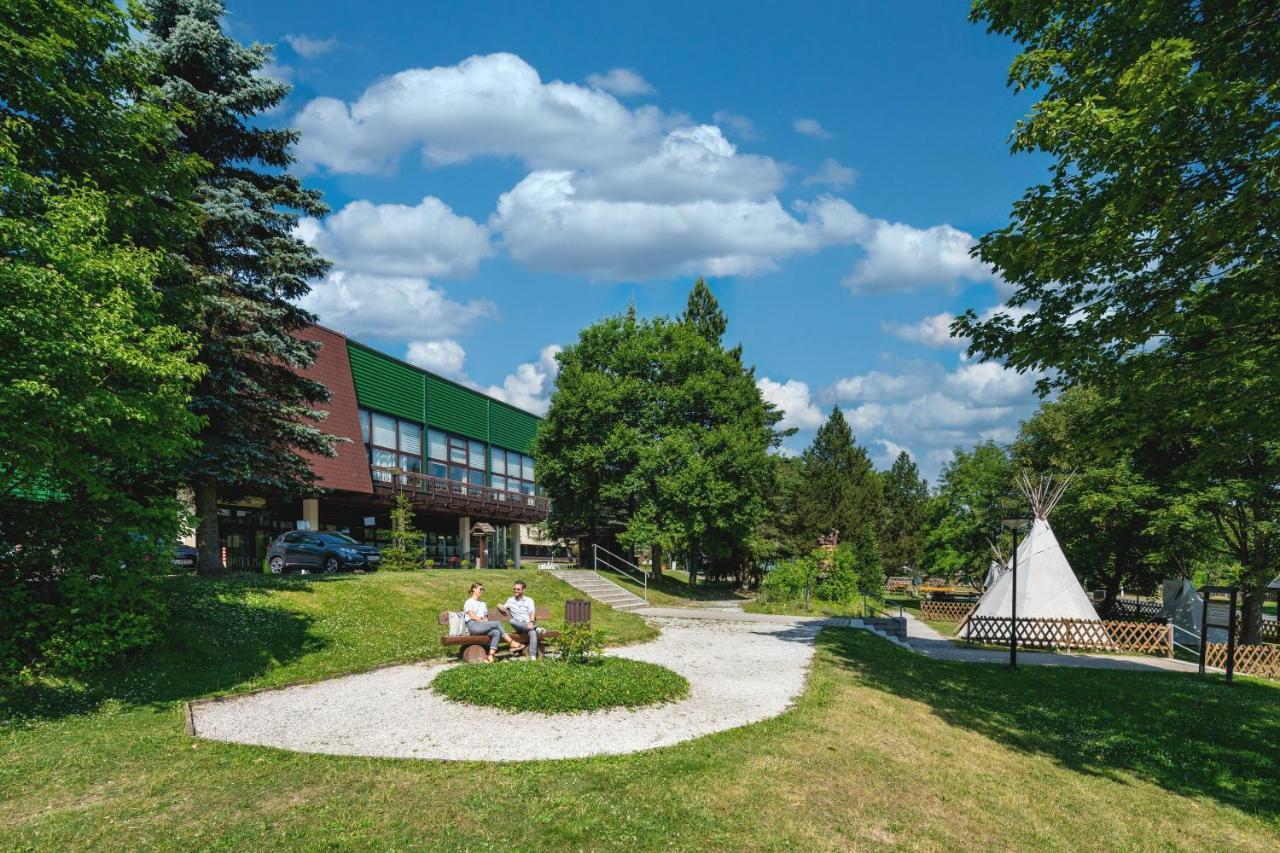 Ahorn Waldhotel Altenberg מראה חיצוני תמונה